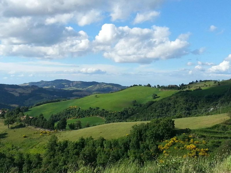 Girfalco Country House B&B