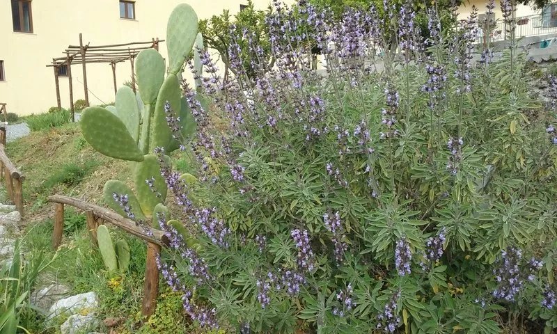 Il Giardino Di Julia B&B