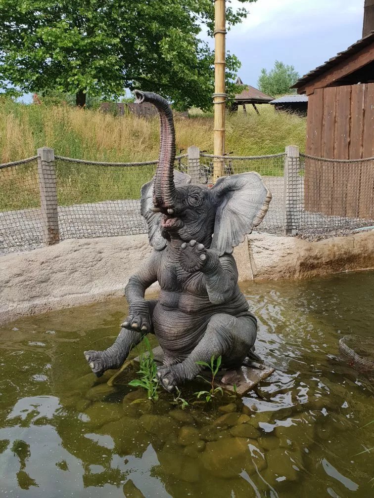 Abenteuer Dschungelland