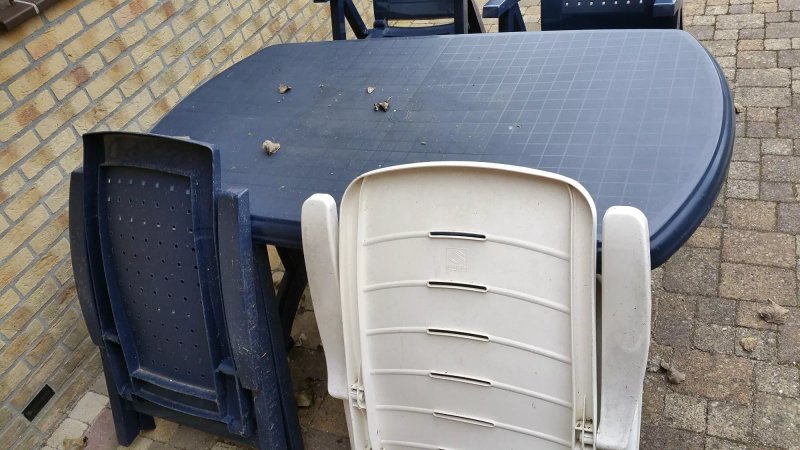 Landal Villapark Vogelmient