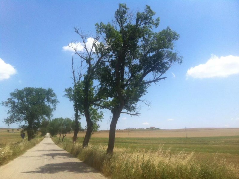 La Ferula
