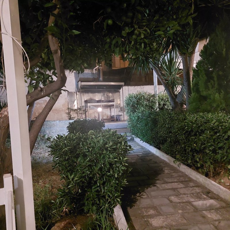 Bird Garden