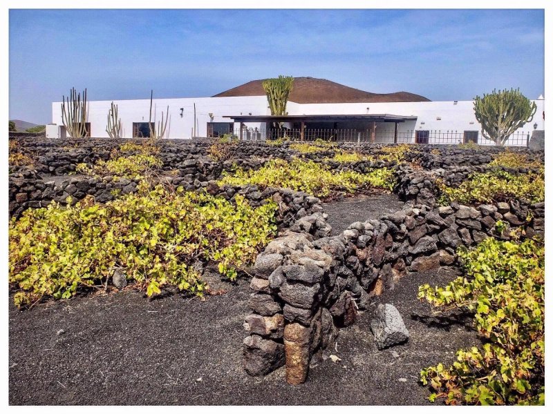 Volcaland Restaurante-Buffet El Campesino