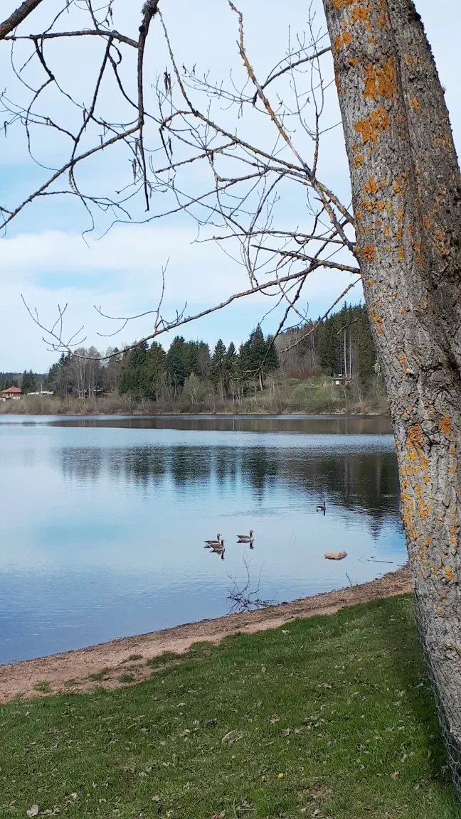 Ferienanlage Kirnbergsee