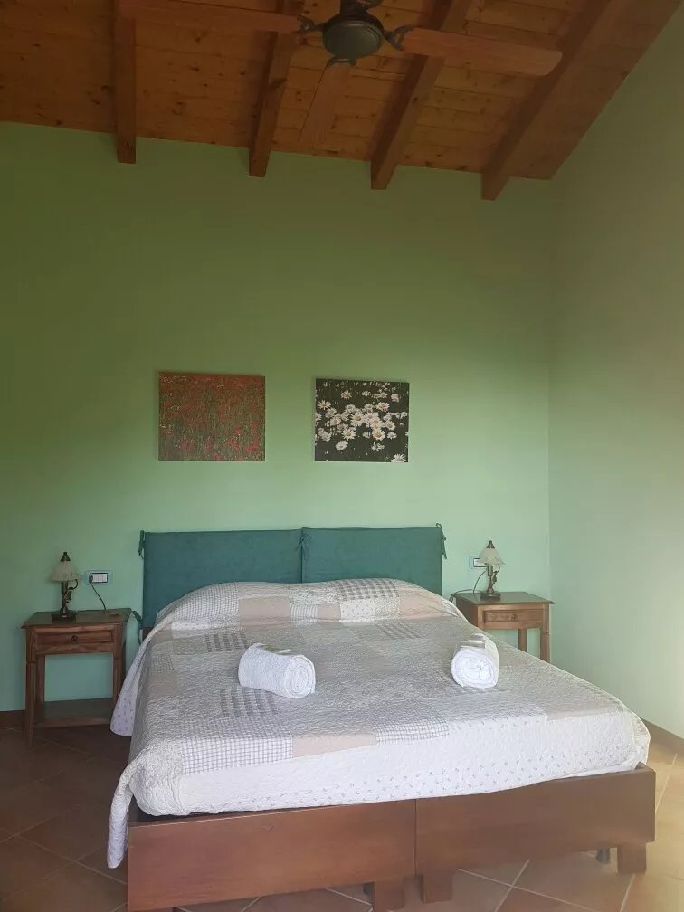 La casa di Trizzi