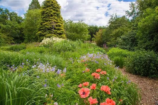 Knoll Gardens