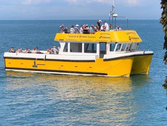 Ilfracombe Princess