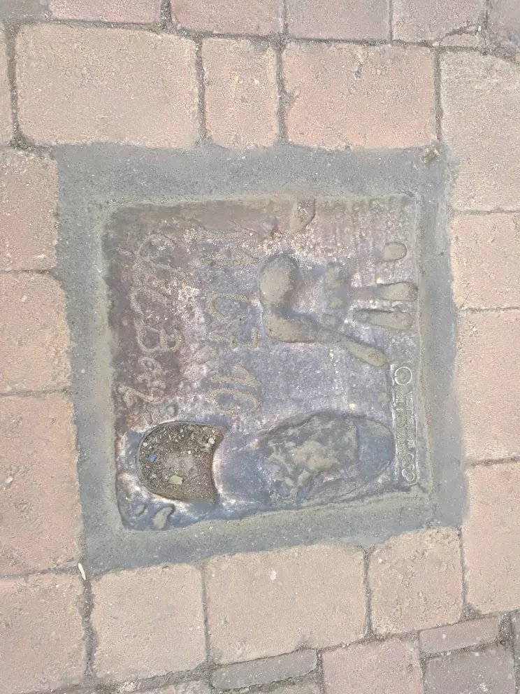 La huella del Camino