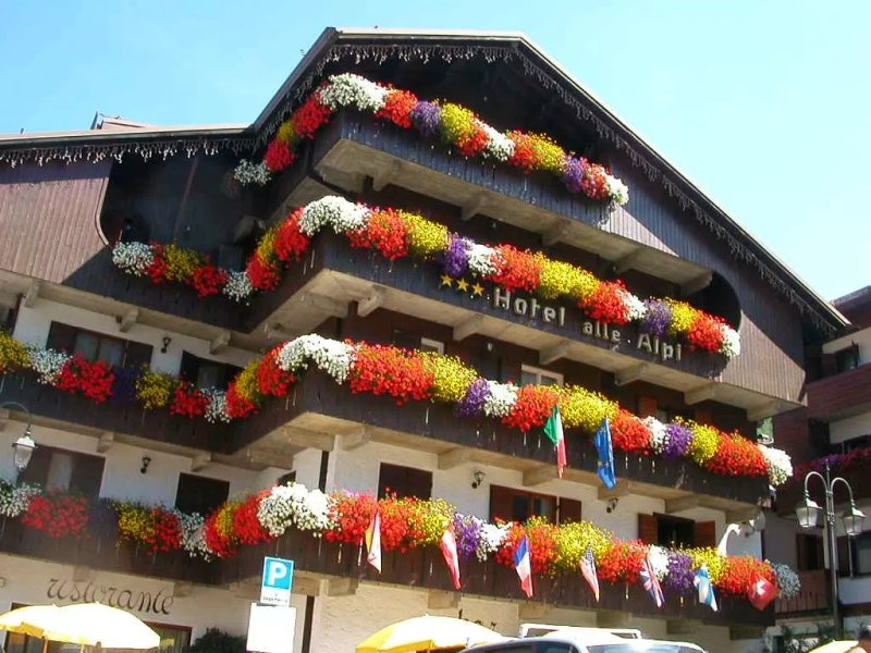 Alle Alpi Hotel
