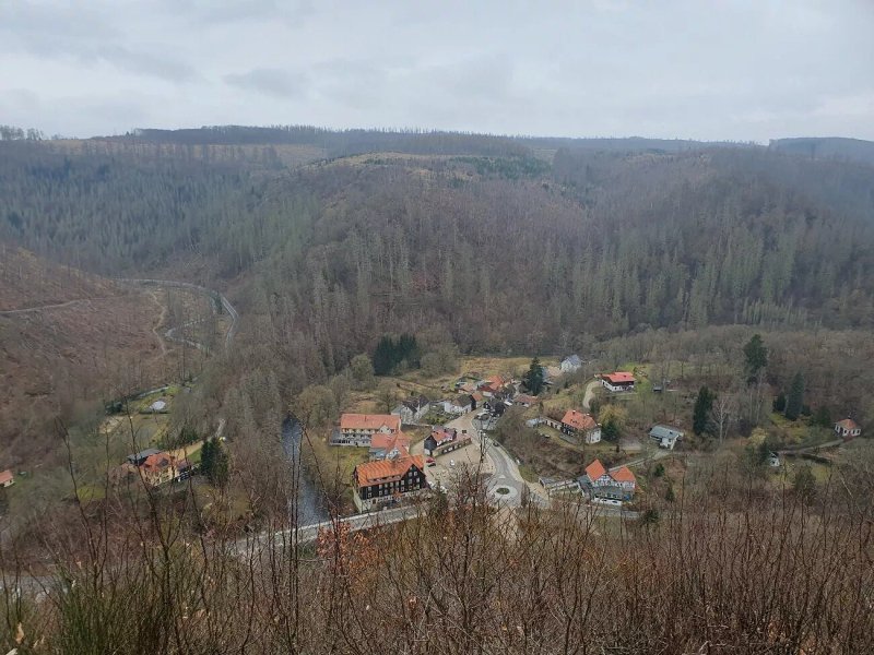 Hotel Forelle