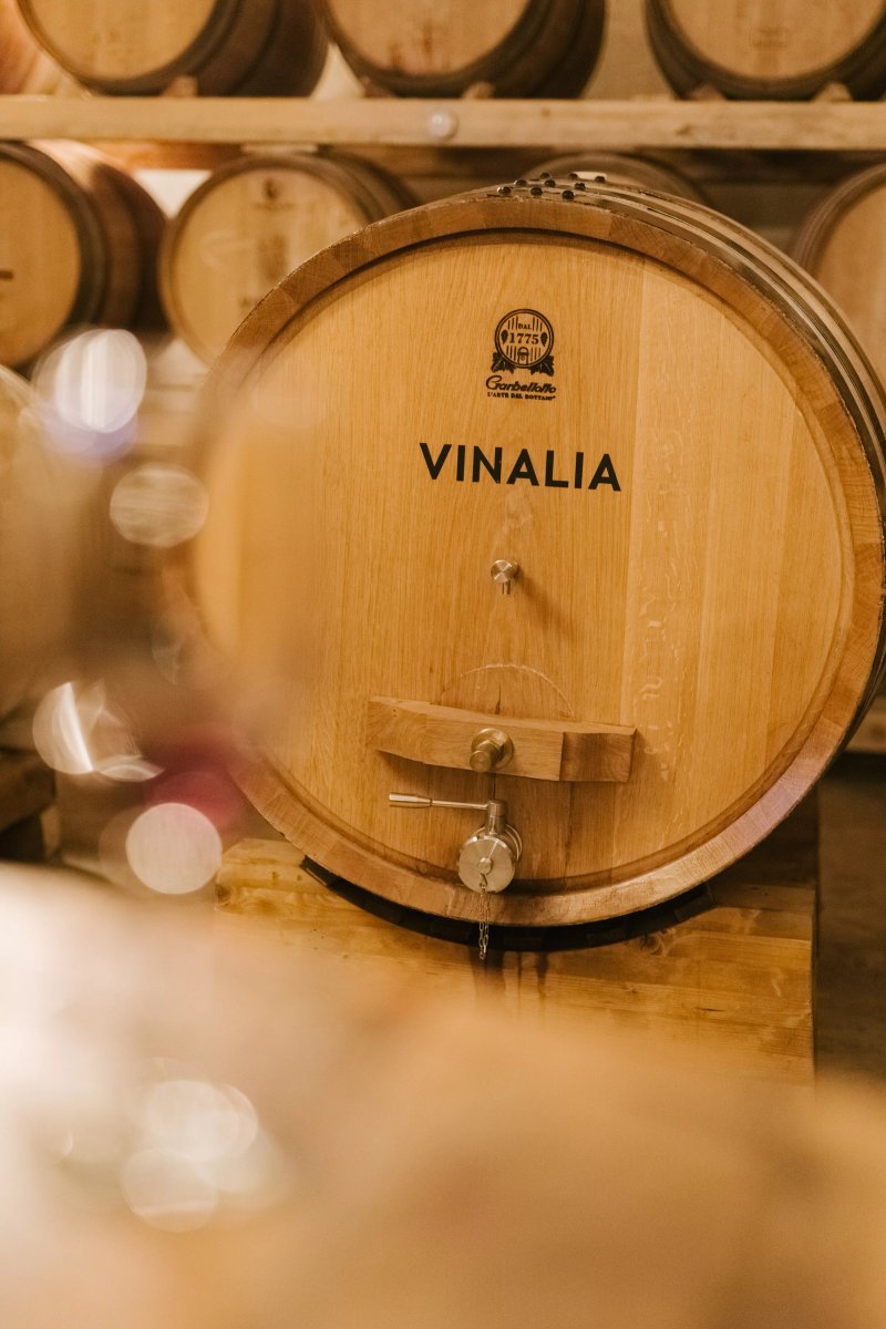 Vinalia - Conacul din Ceptura