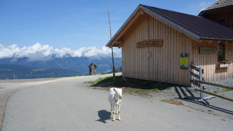 Tressdorfer Alm Hutte
