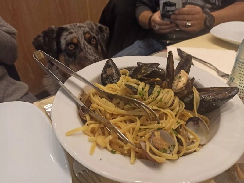 Spaghetteria Macaroni