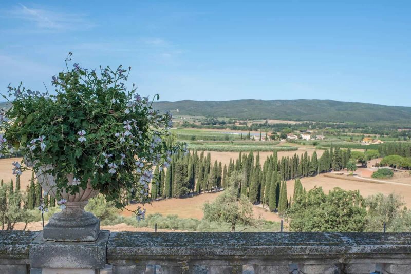 Terrazza Moris