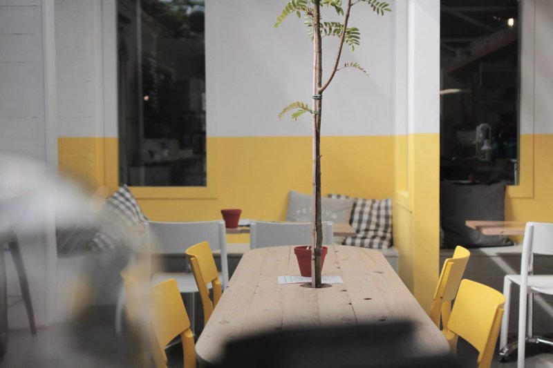 Lay of the Land Cafe & Coffee Shop