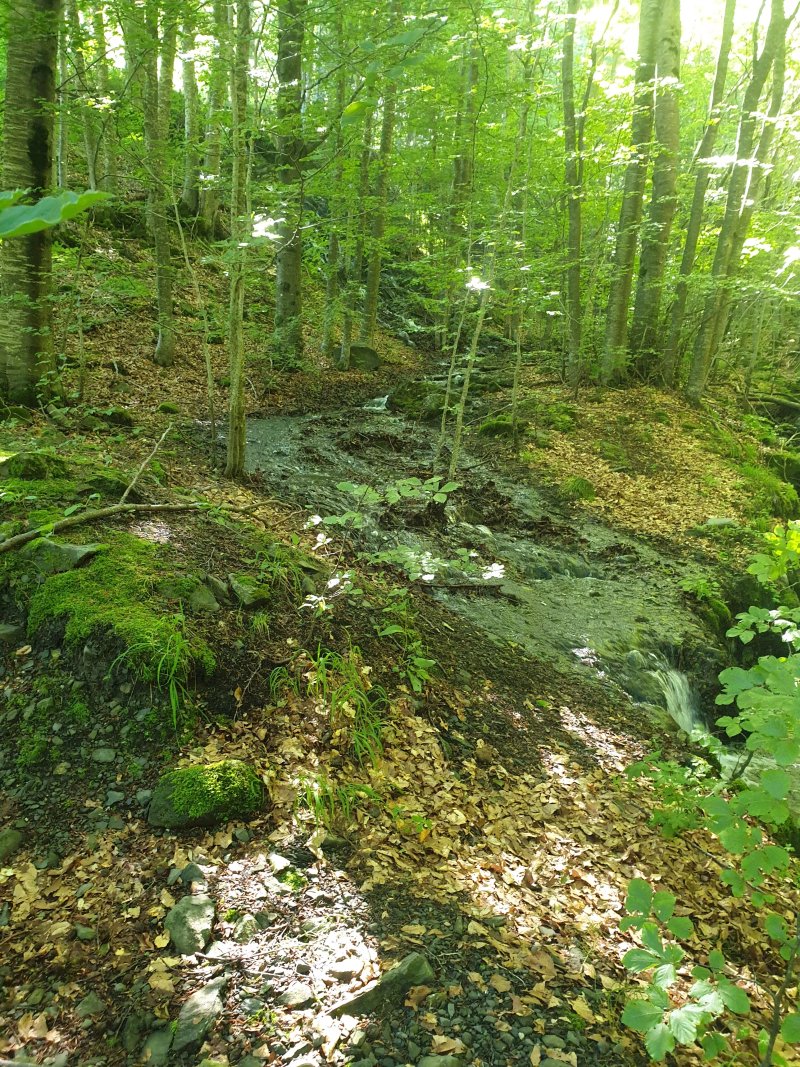 Camping le Polle
