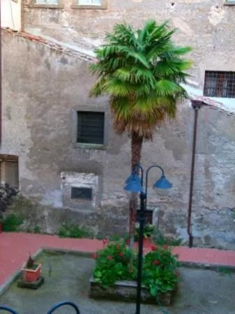 Ora Domus Viterbo-La Quercia