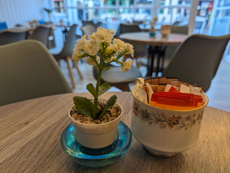 Aroma Avenue