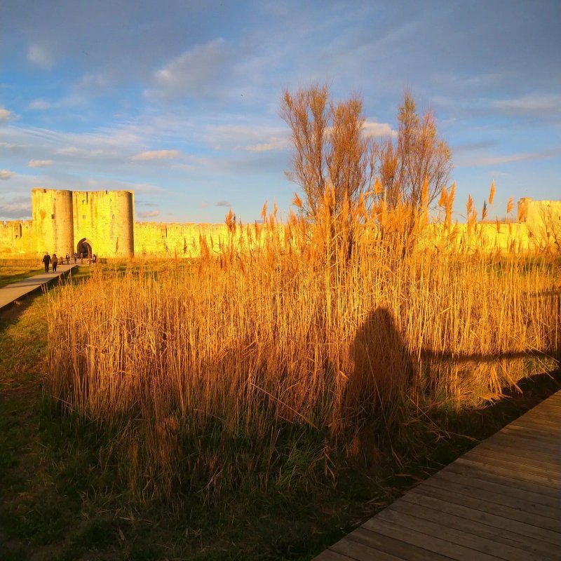 O36 remparts sud