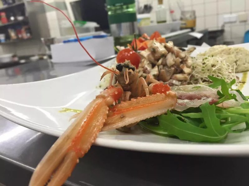 ZAP - Restaurant "Zur Alten Post"
