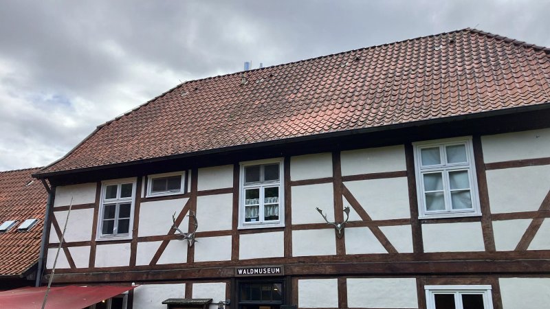 Naturum Gohrde Waldmuseum