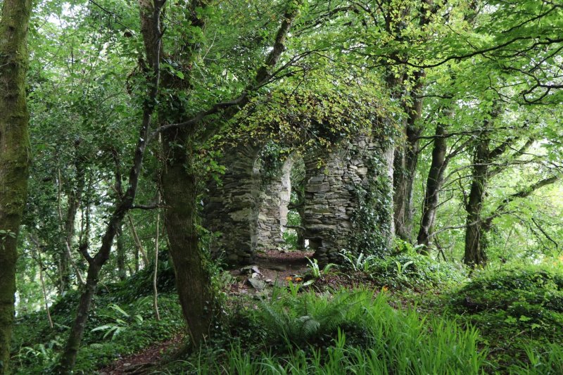 The Castle Castletownshend