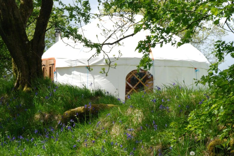The Yurt Farm