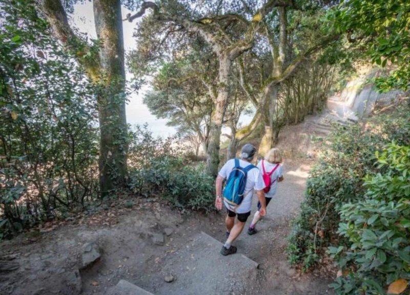 Le camping des hortensias- Aire de camping car