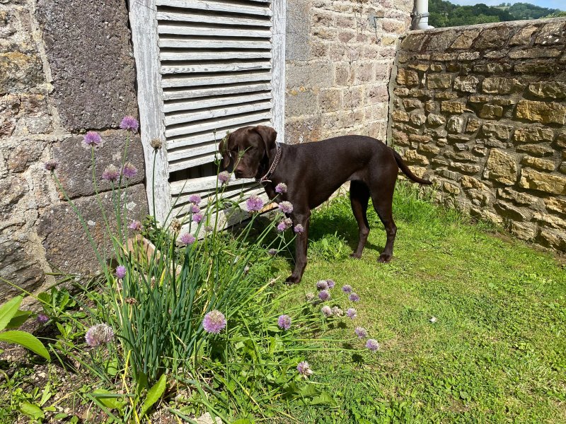 Le Manoir De Placy