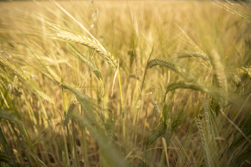 Oi, Agriturismo e Spaccio Agricolo