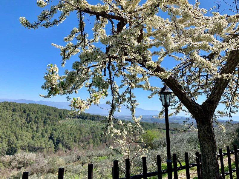 Agriturismo il Corbezzolo di Bevagna Perugia