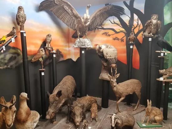 Museo Hontza