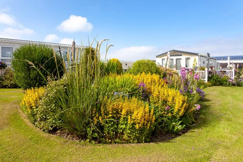 Seafield Caravan Park