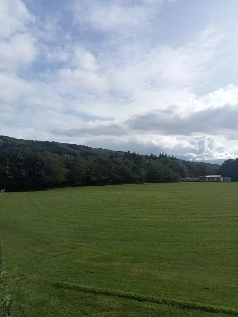 Blue Bell Inn