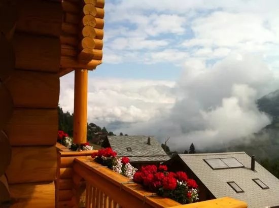 Alpine Comfort