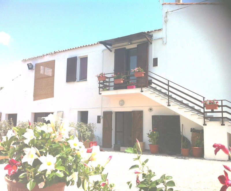 La Purissima