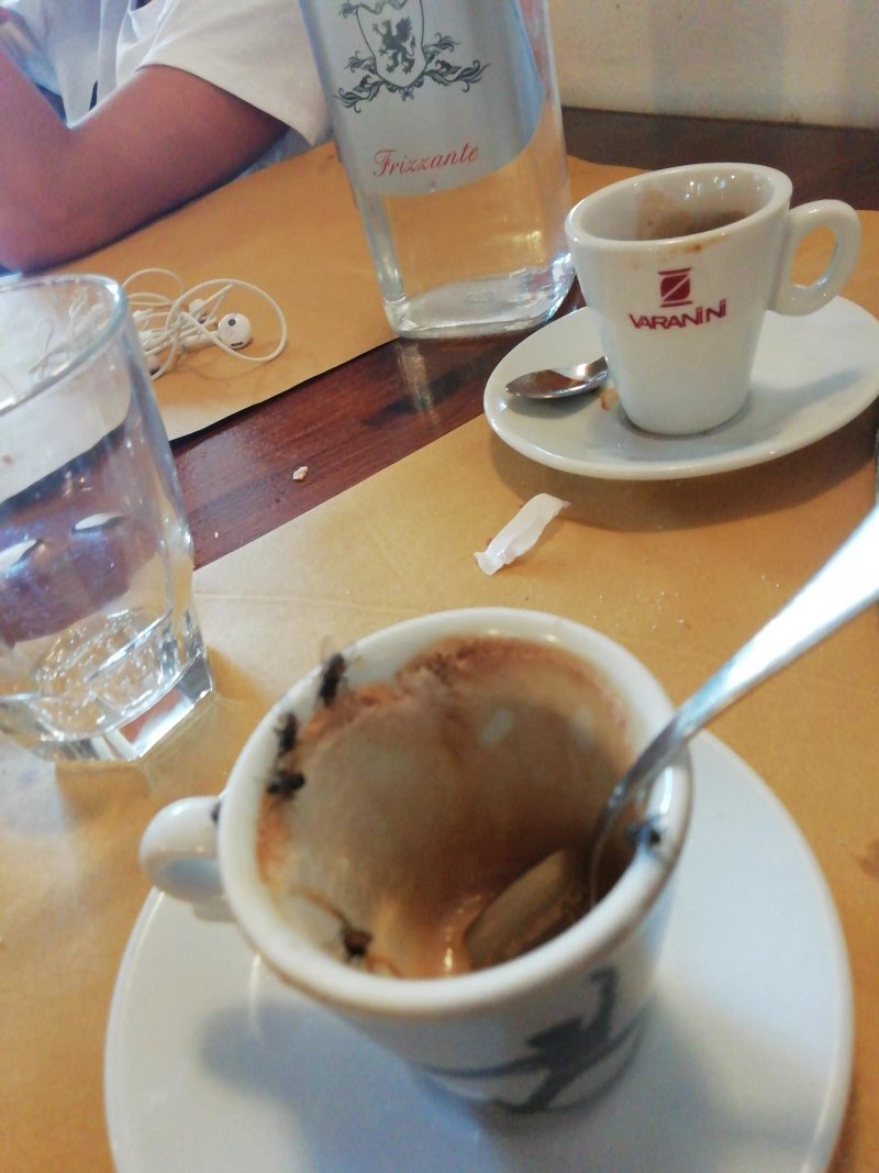 Bar Mauro
