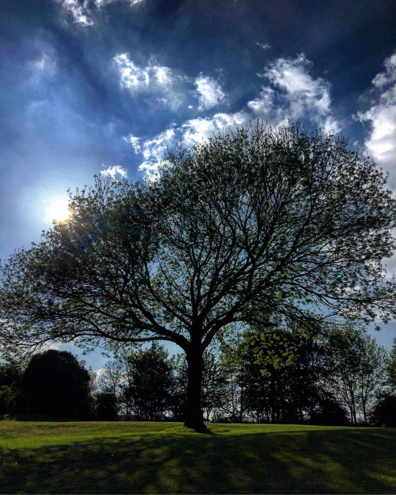 Lee Valley Camping and Caravan Park, Edmonton