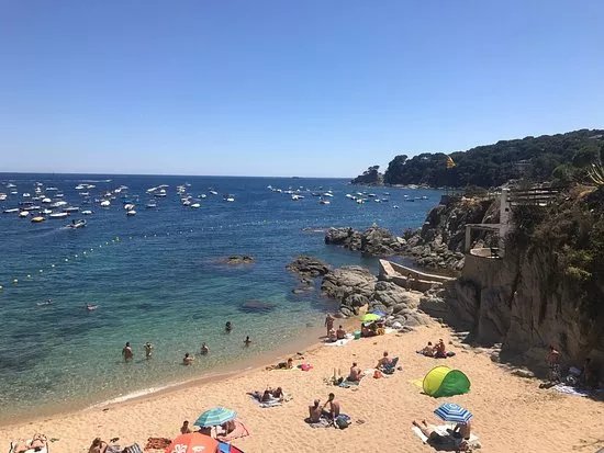 bar ven y ven palafrugell