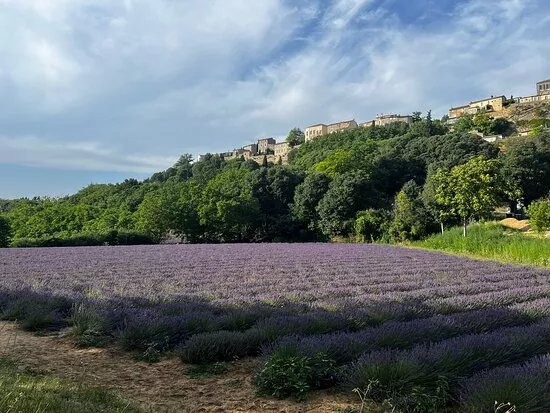 Vieux Village De Menerbes