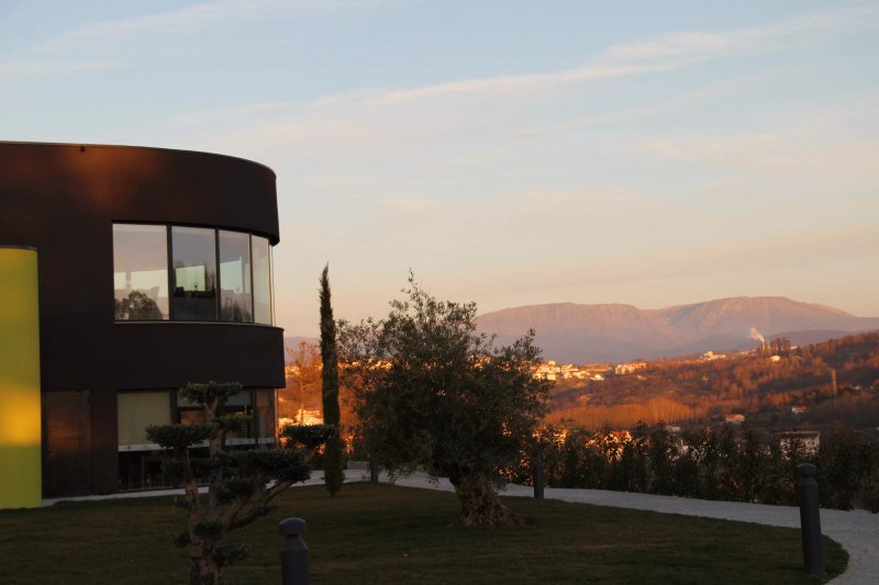Restaurante Olea