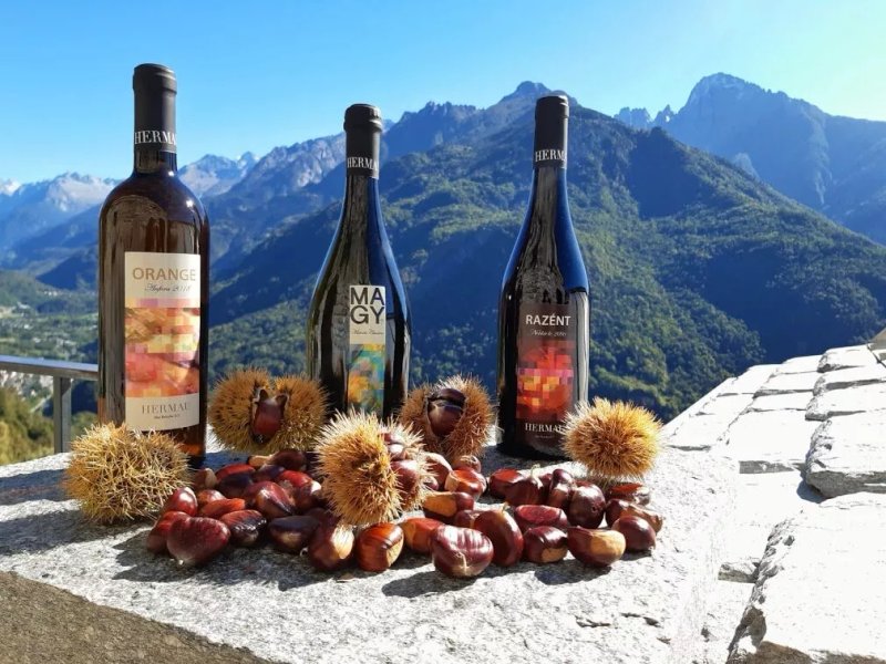 Agriturismo Ca' Pianazo'la