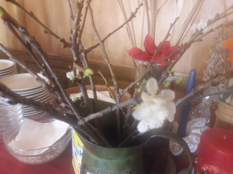 Ristorante dell'Albergo Scoiattolo