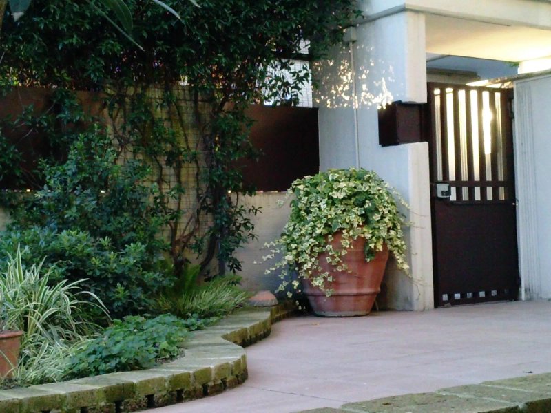 Greenhouse Bed & Breakfast