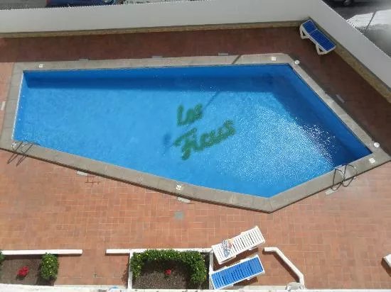 Los Ficus
