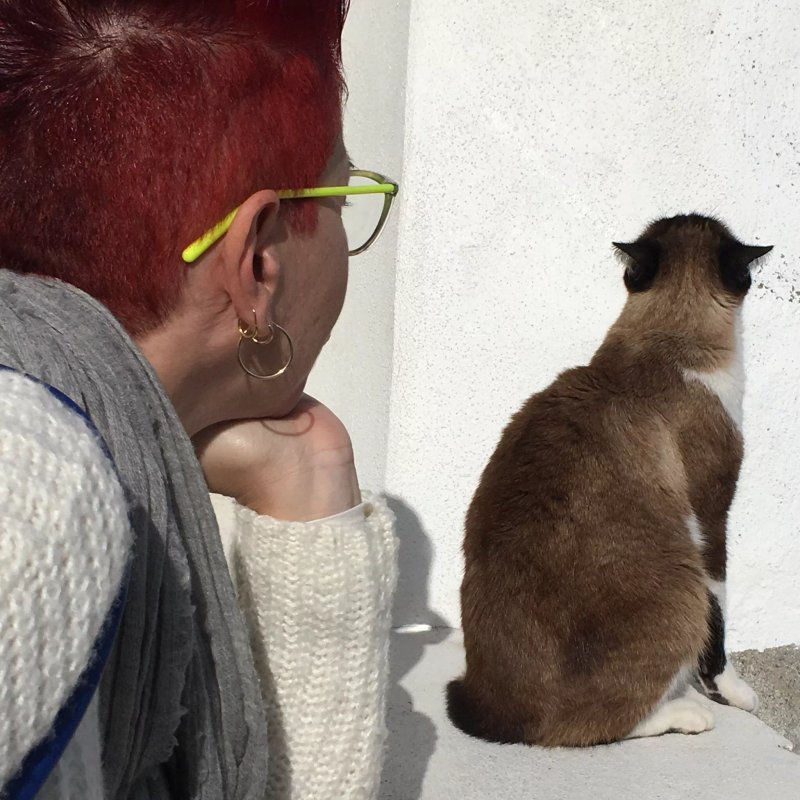 Traveling To Lisbon Bairro Alto