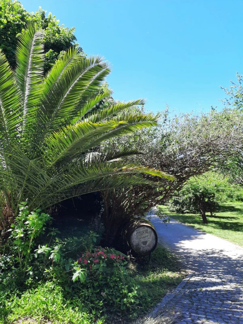 Quinta de Ribas