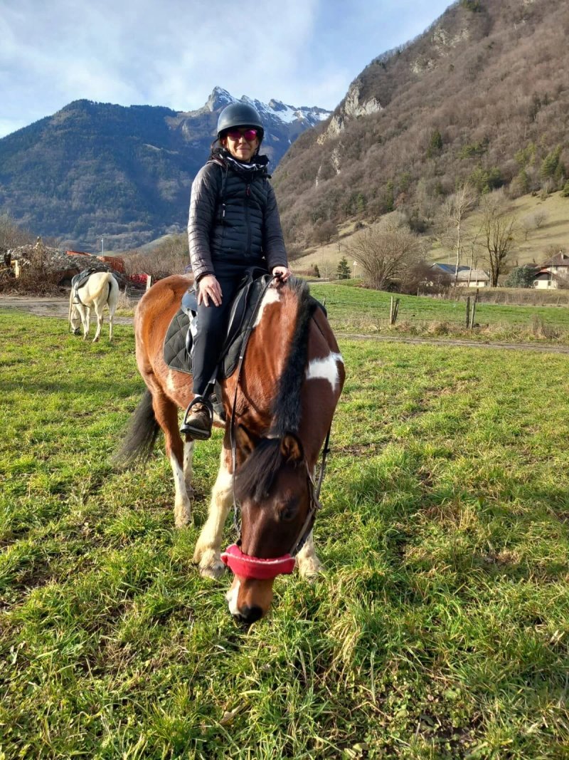 Les chevaux de la Diamanterie