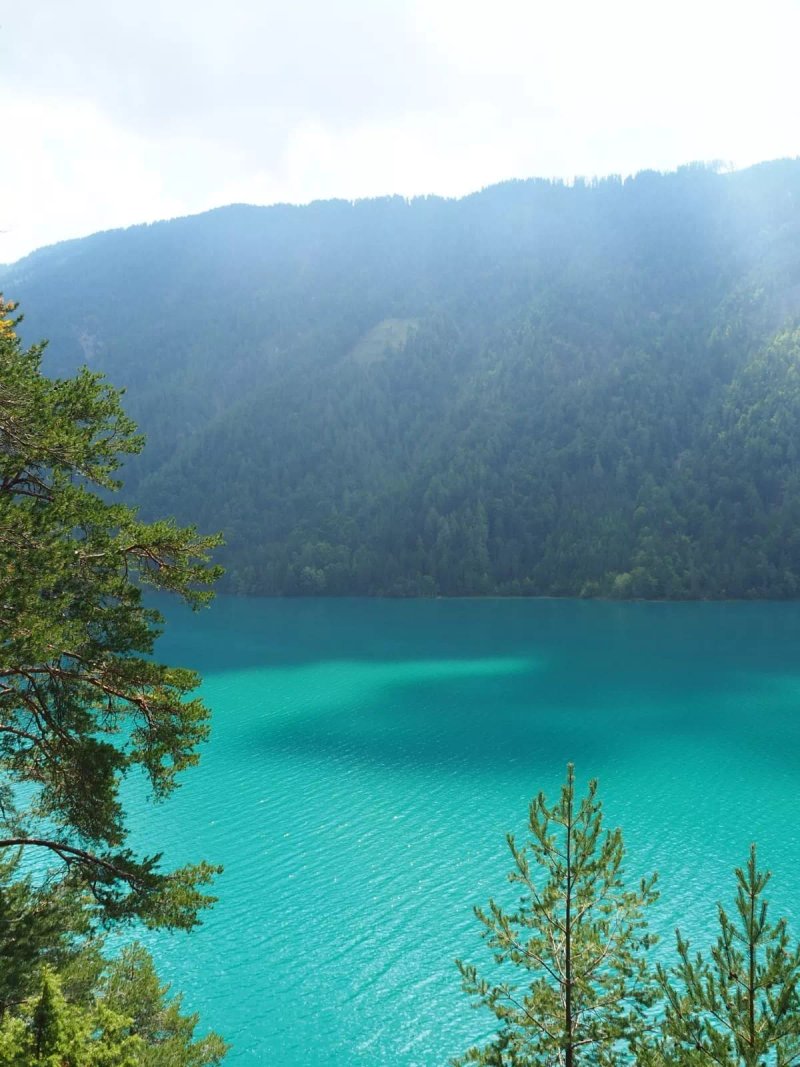 Camping Ronacher