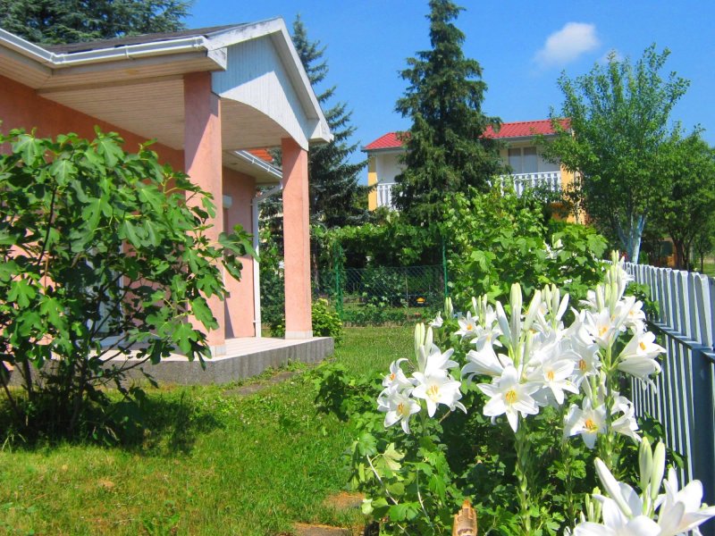 Feszek Vendeglo es Apartmanhaz